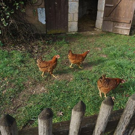 Chambres D'Hote En Dordogne Beauronne Exterior foto